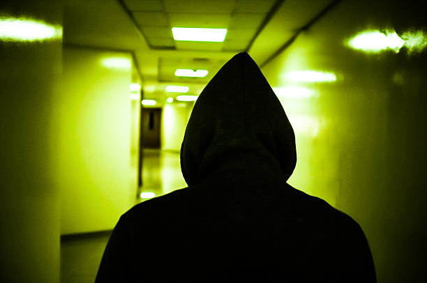 istock Falon walking along a alleyway 504793960