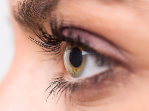 istock Close-Up of human Eye 504794592