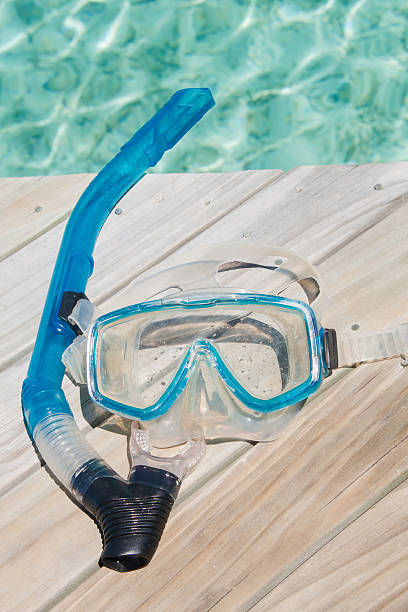 istock Snorkel scuba mask on the beach. 504795058