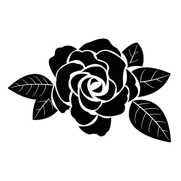 ilustraciones, imágenes clip art, dibujos animados e iconos de stock de negra silueta de rosa con hojas - silhouette beautiful flower head close up