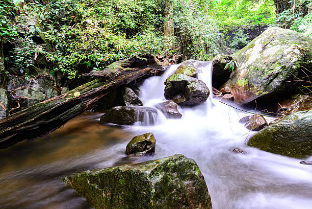 istock Krok E Dok waterfall in national park, Saraburi Thailand. 504797416