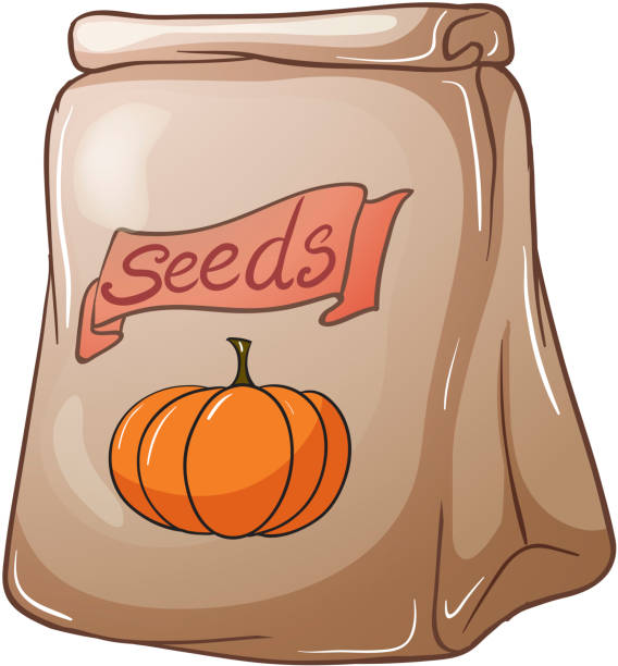 сквош пакет семян - hardbound stock illustrations