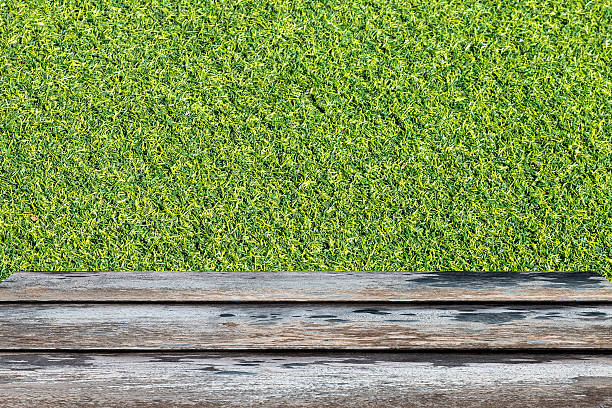 istock green grass on old wood floor,in sunny day 504816326