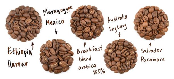 Collection of roasted coffee beans. name coffees