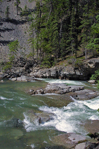 istock Maligne Canyon, Jasper National Park, Jasper, Alberta, Canada 504816709
