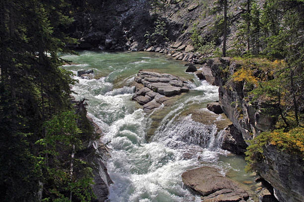 istock Maligne Canyon, Jasper National Park, Jasper, Alberta, Canada 504816711