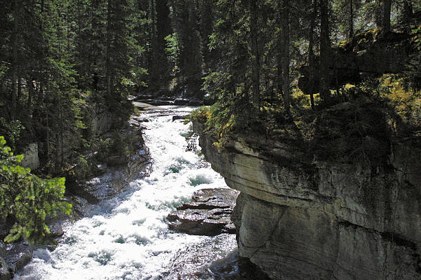 istock Maligne Canyon, Jasper National Park, Jasper, Alberta, Canada 504816713