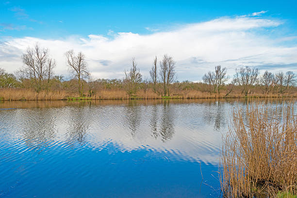 istock Reflection of clouds in a canal in winter 504816740