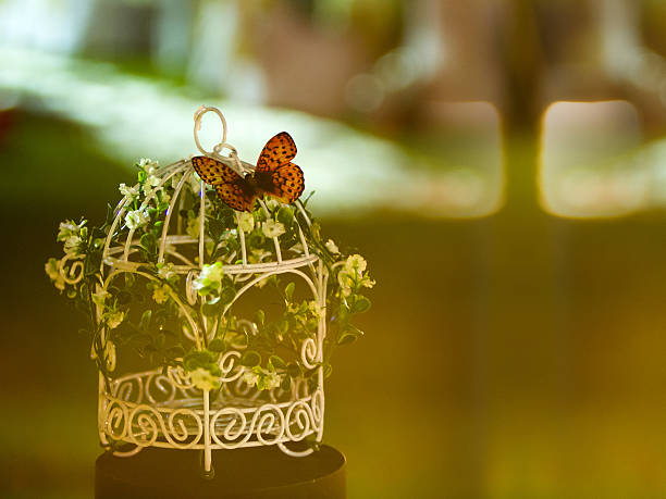 Birdcage with flower and butterfly; decoration at wedding ceremony in vintage style photo.