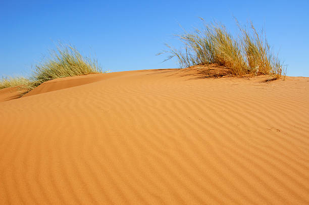 kuvapankkikuvat ja rojaltivapaat kuvat aiheesta hiekkadyyni kohteessa namib naukluft national park - sand mountain