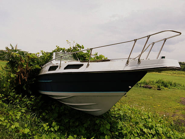 istock Abandoned Boat with Grass and Weeds Growing Around it. 504820141