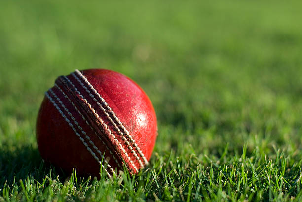 istock Red cricket ball on green grass 504820163