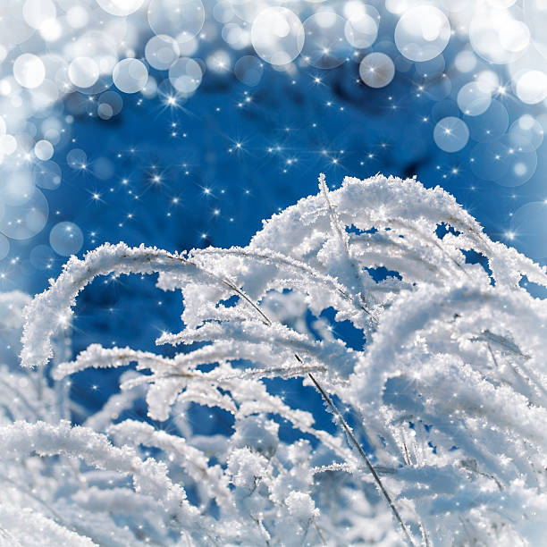 istock Grass covered by snow and hoarfrost in winter on field 504820248