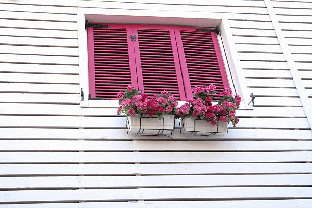 pink window stock photo