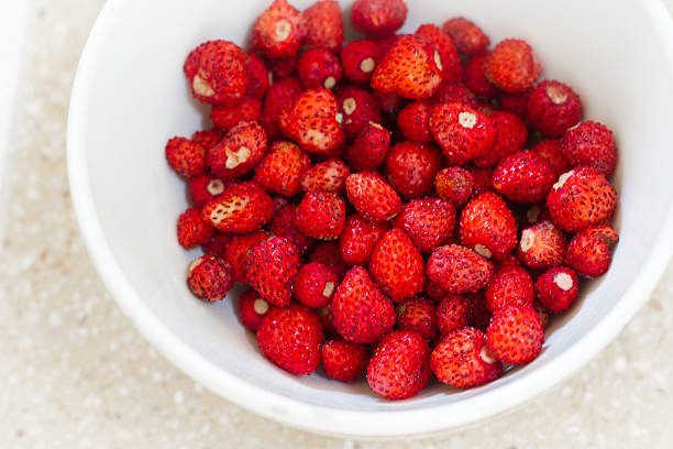 White Bowlful of Tiny Wild Strawberries