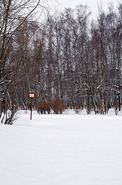 istock Wooden plate on a snow field 504821170