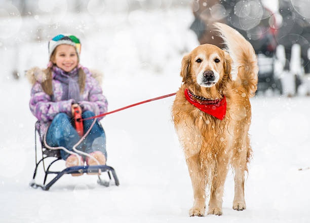 Happy little girl sitting on the sledge in beautiful winter forest. Little girl in red jacket having winter fun. Its cold winter day so she is wrapped up warm.  Winter break
