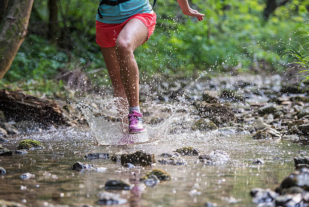 istock Female hiker in forest 504821554