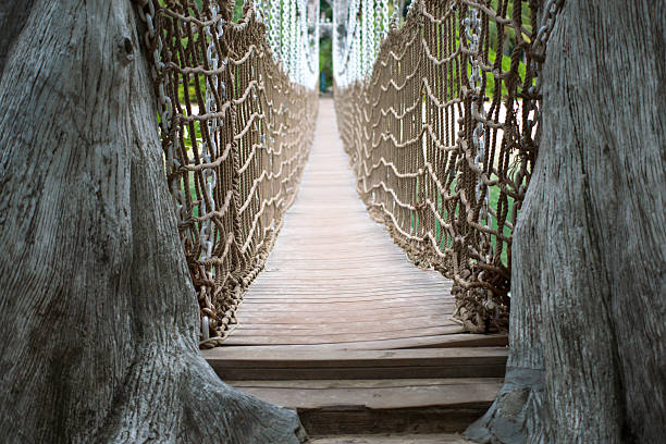 istock wooden rope bridge 504822126