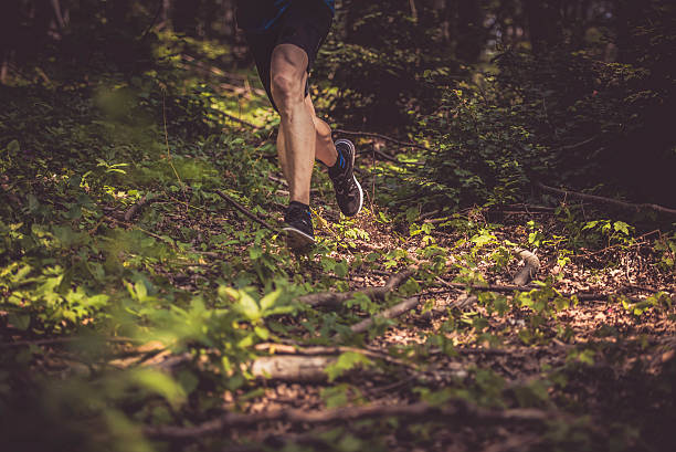 istock Male hiker in forest 504822840