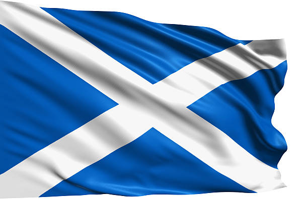 istock flag of Scotland 504823027