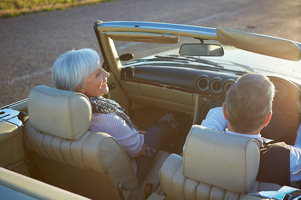 istock Best roadtrip buddies 504823547