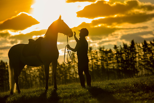Woman stroking horse while standing on ranch at sunset.