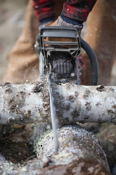 Chainsaw Cutting Wood stock photo