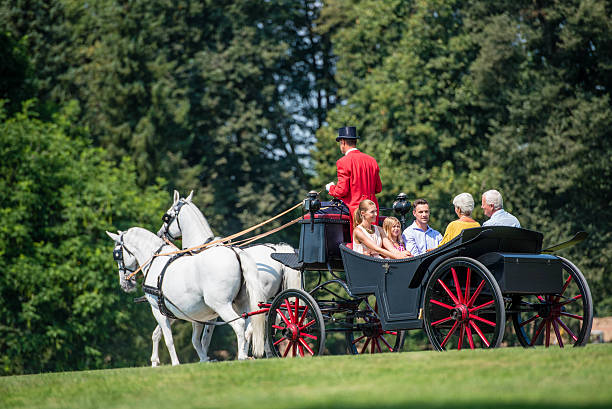istock Horse drawn carriage 504827798