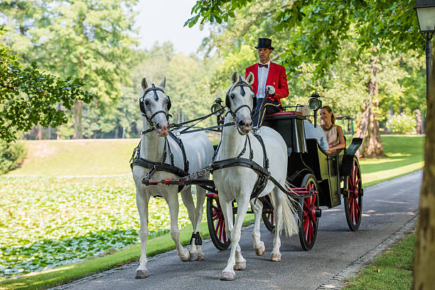 istock Horse drawn carriage 504827956