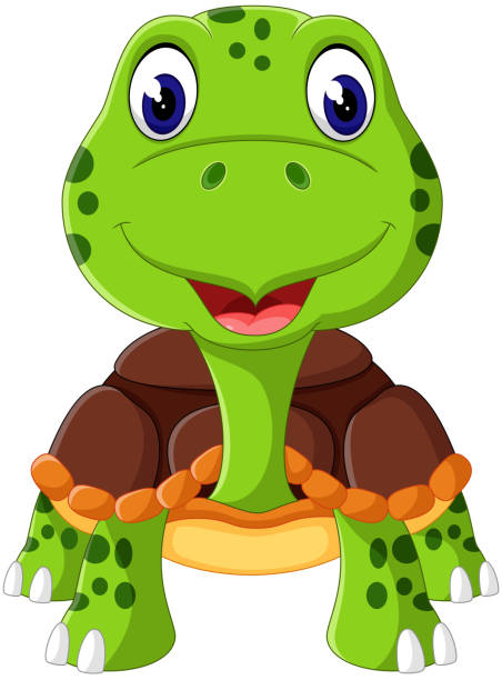 Cartoon Funny Turtle Isolated On White Background Stock Illustration -  Download Image Now - Animal, Animal Shell, Animal Wildlife - iStock