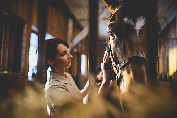 istock Woman cleaning horse 504828316