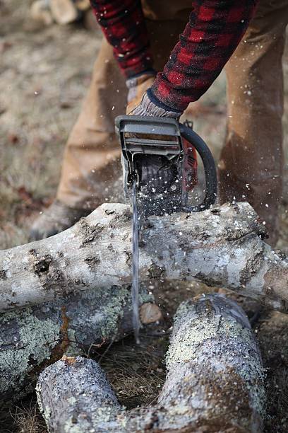 Cutting up a Tree stock photo