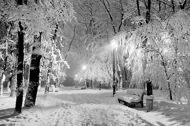 istock Snow-covered park road in the night 504829022