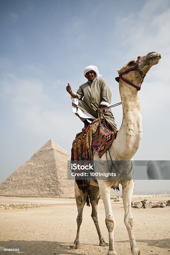 Bedouin Bedouin is riding on his camel in front of the pyramid ,Egypt. Camel Stock Photo