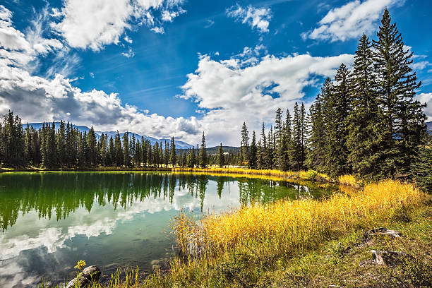 istock The small superficial lake 504854172
