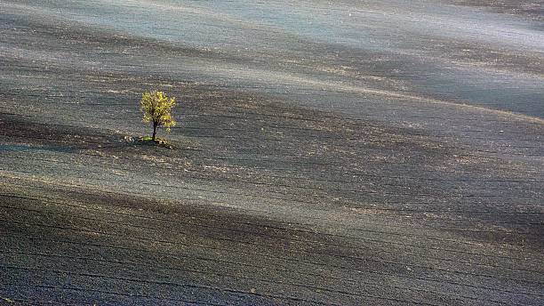 istock Val d'Orcia, Tuscany - Italy 504855658