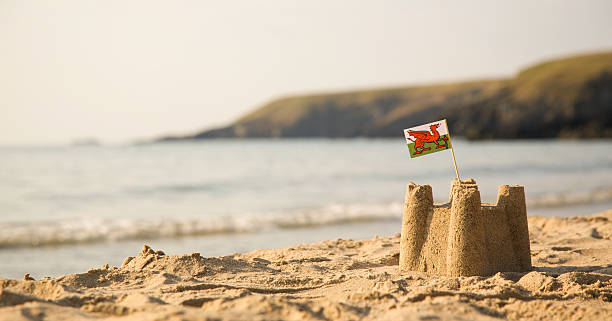 istock Beach, sea, sandcastle and  Welsh Flag 504855823
