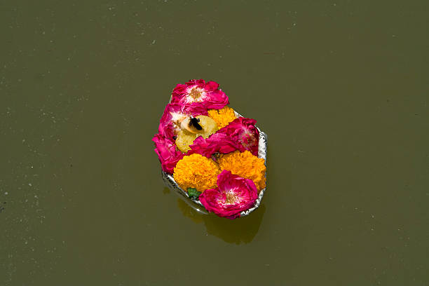 istock Floating Tray of Flowers 504856111