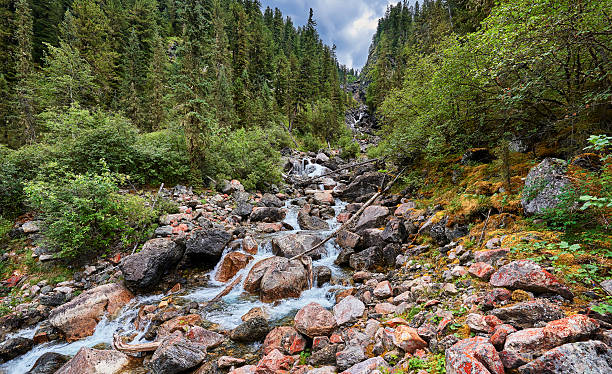istock Mountain stream running in the narrow forest gorge 504856644
