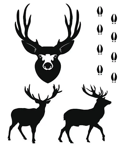 Vector illustration of silhouette deer on white background