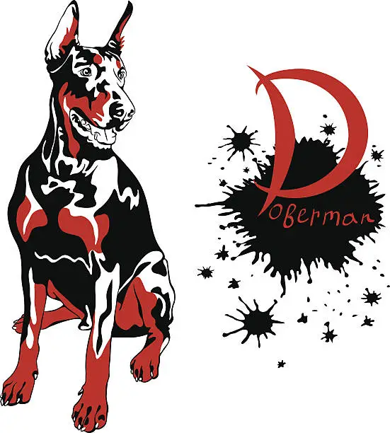 Vector illustration of vector dog Doberman Pinscher breed