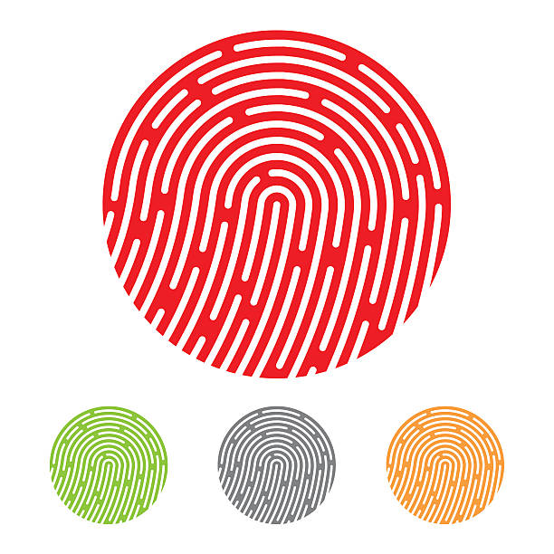 ilustrações de stock, clip art, desenhos animados e ícones de ícone de impressão digital. vector - fingerprint thumbprint identity red