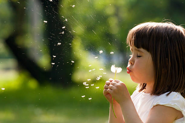 istock Beautiful child with dandelion flower in spring park. 504860090
