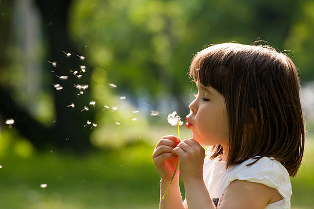 linda criança com dente-de-leão flor na primavera park. - spring flower dandelion expressing positivity - fotografias e filmes do acervo