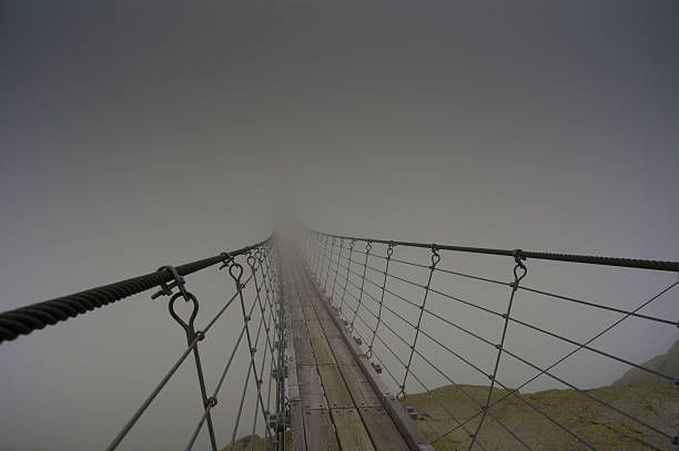 istock suspended in the mist 504863420