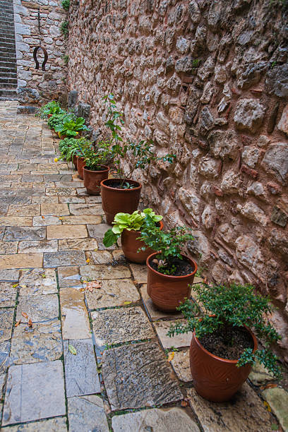 istock Image of  monastery of St. Luke near Delphi 504863954