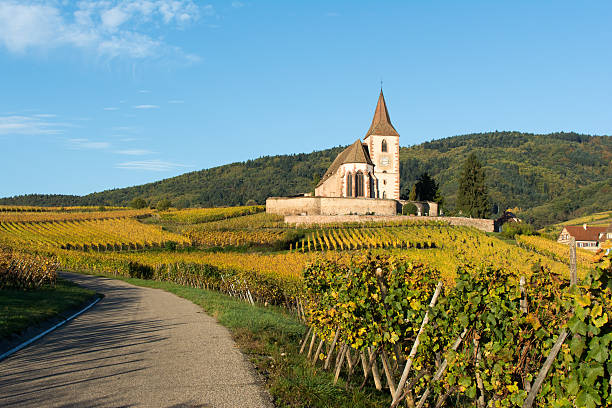 istock Medieval church in vineyard 504865594