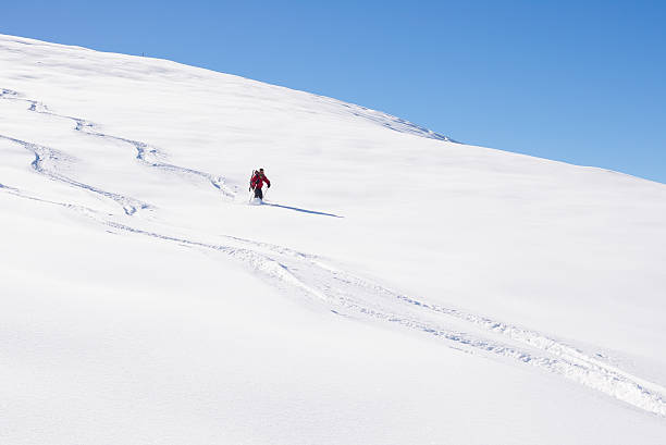 istock Freeriding on fresh powder snow 504866136