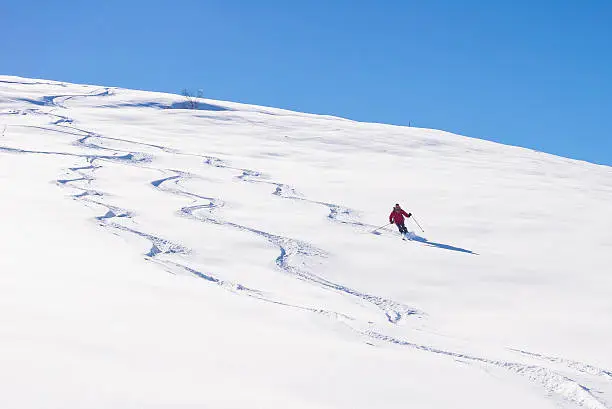 One person skiing downhills off piste on snowy slope in the italian Alps, with bright sunny day of winter season. Thick Powder snow with ski tracks.